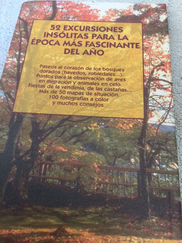 Excursiones con tu mejor amigo tu perro