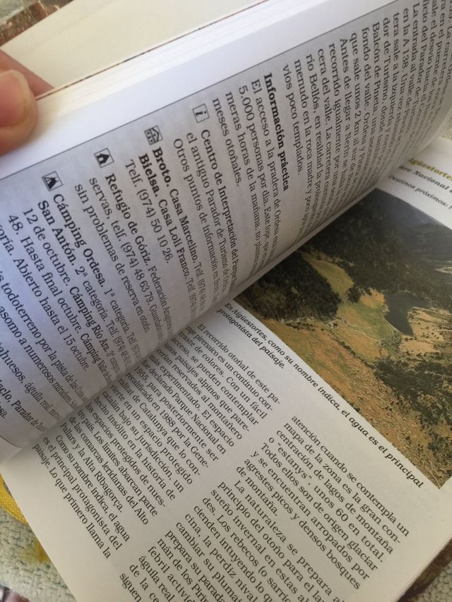 Excursiones con tu mejor amigo tu perro