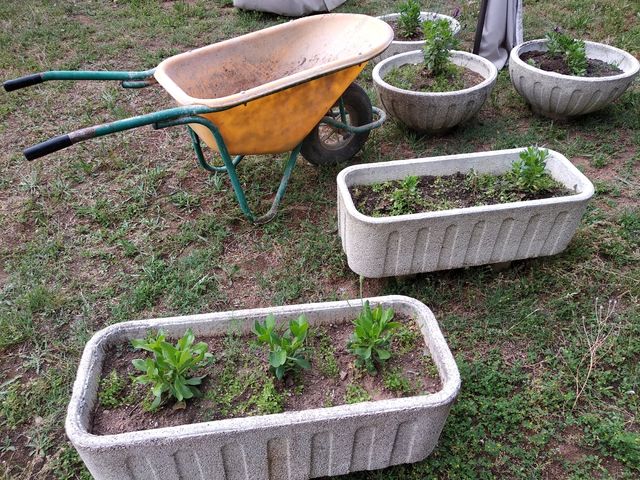 macetero de hormigón 30€ unidad