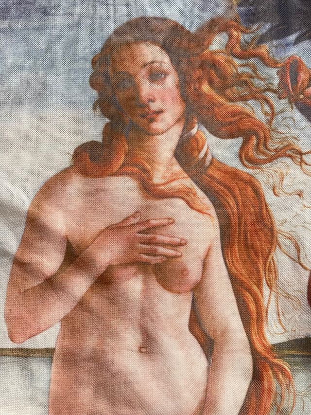 Camiseta Venus Boticcelli