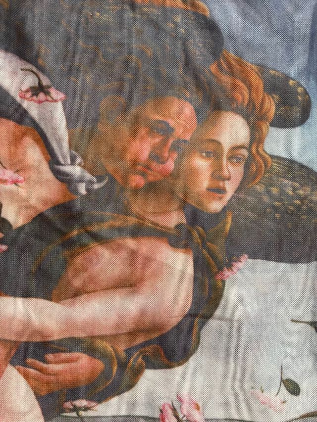 Camiseta Venus Boticcelli