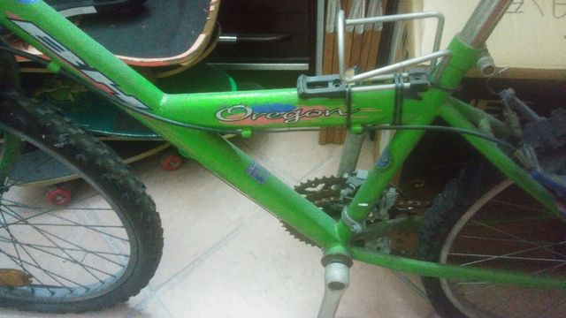 Bicicleta Montaña.