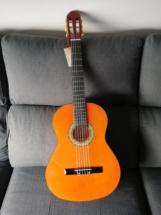 Cuánto Cuesta una Guitarra Acústica? | Superprof