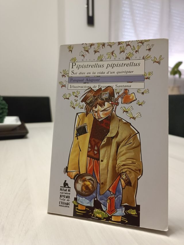 Pipistrellus pipistrellus.