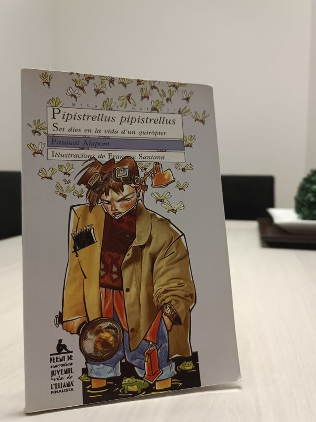 Pipistrellus pipistrellus.