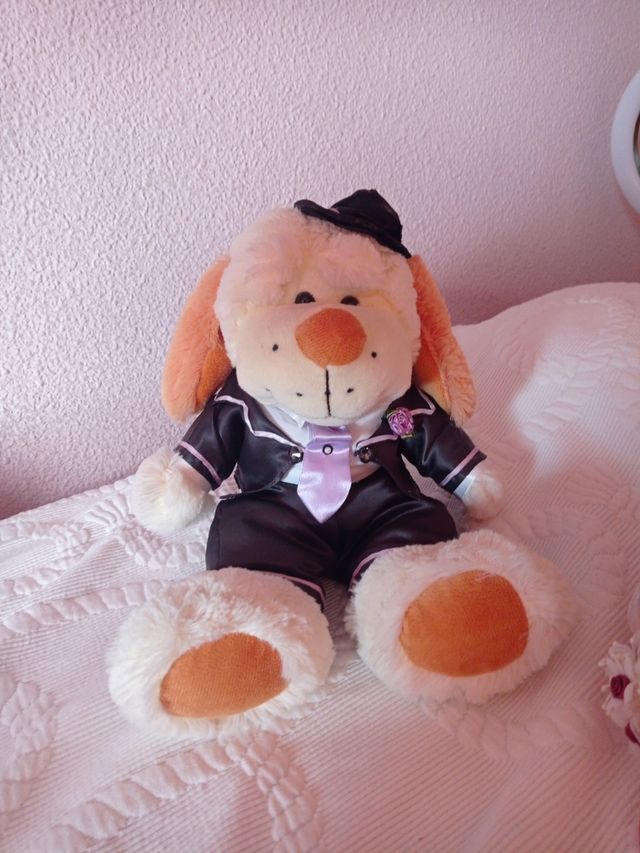 Peluches novios