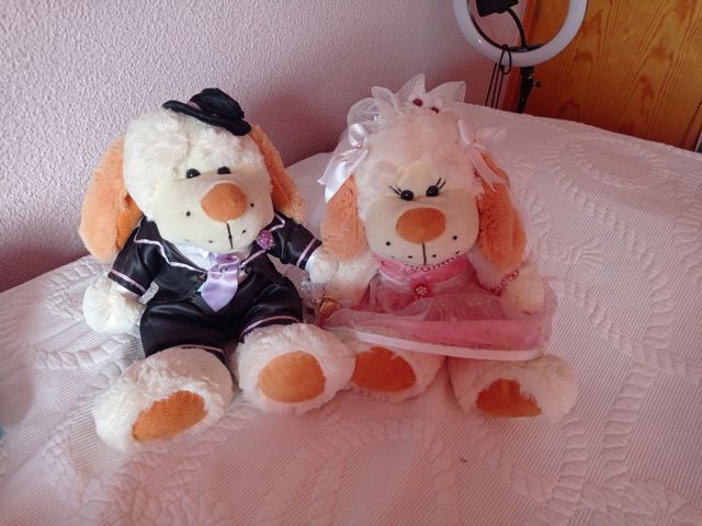 Peluches novios
