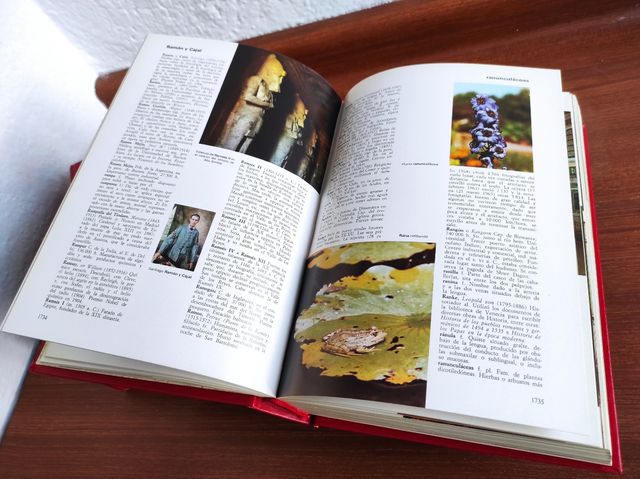 Enciclopedia Universal