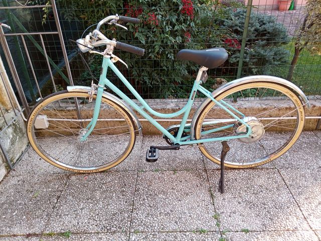 bicicletta elettrica