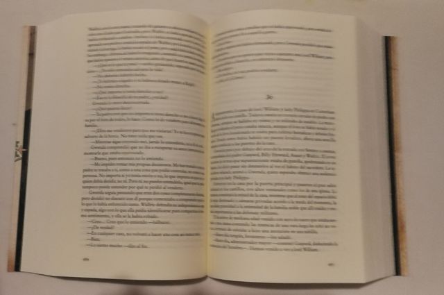 Un mundo sin fin (Ken Follett)