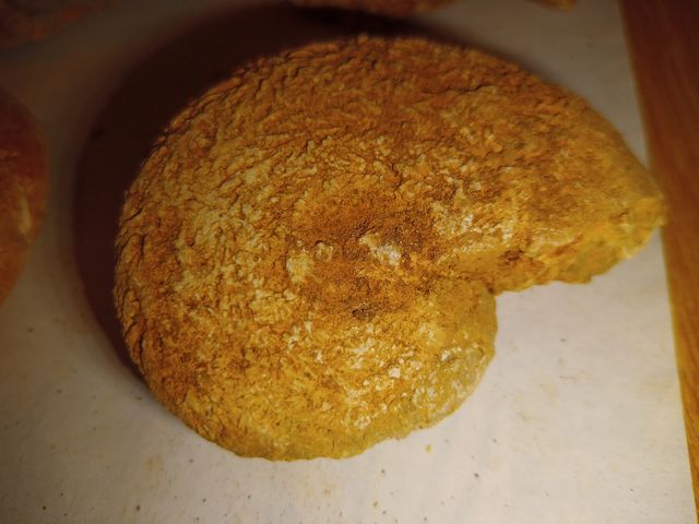 lote X4 amonites diferentes especies 5-6cm fósiles