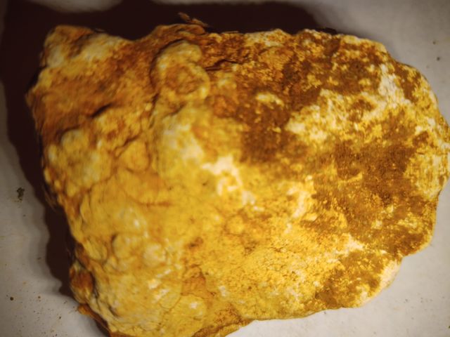 lote X4 amonites diferentes especies 5-6cm fósiles