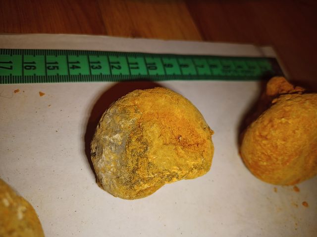 lote x8 amonites diferentes especies 4-7 CMS fósil