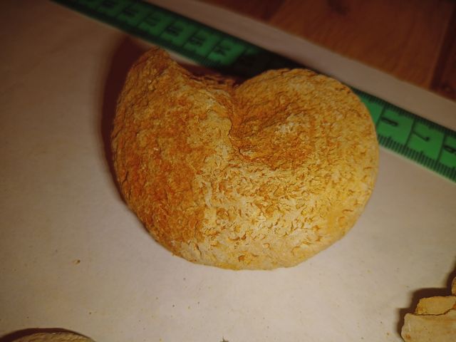 lote X4 amonites fósiles diferentes especies 3-8cm