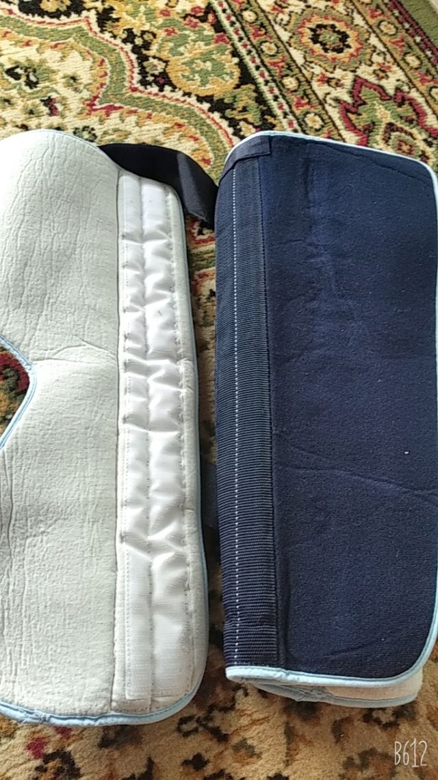 oetesis inmobilizacion