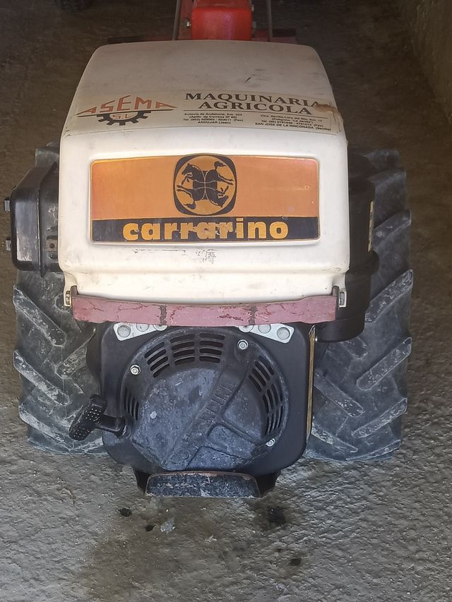 Pascuali Lombardini con remolque 700kg y rotavator de segunda mano por 1.900 EUR en Sevilla en