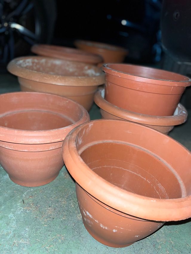 Lote 8 macetas.