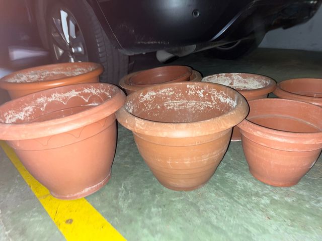 Lote 8 macetas.