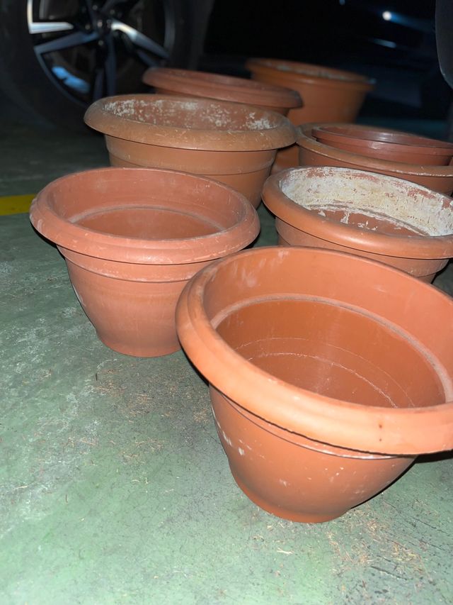 Lote 8 macetas.