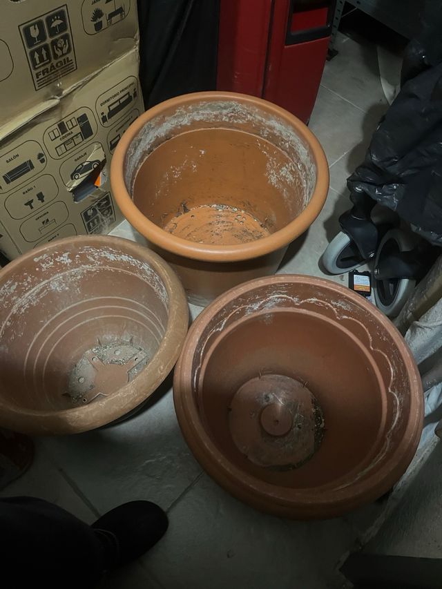 Lote 8 macetas.