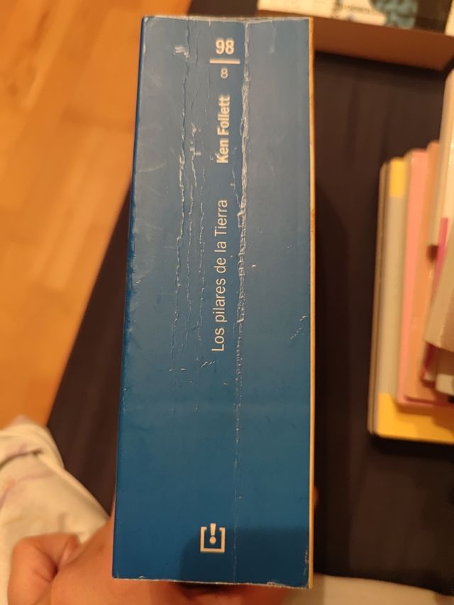 Los pilares de la Tierra