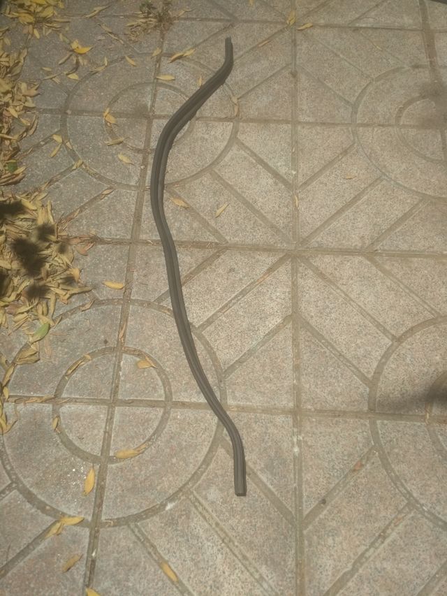 Moldura capó Audi A3 2001