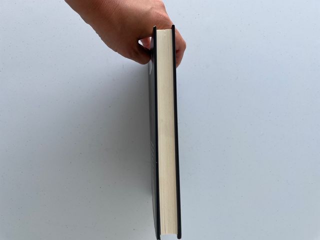 Sergio Vila Sanjuán: Una heredera de Barcelon