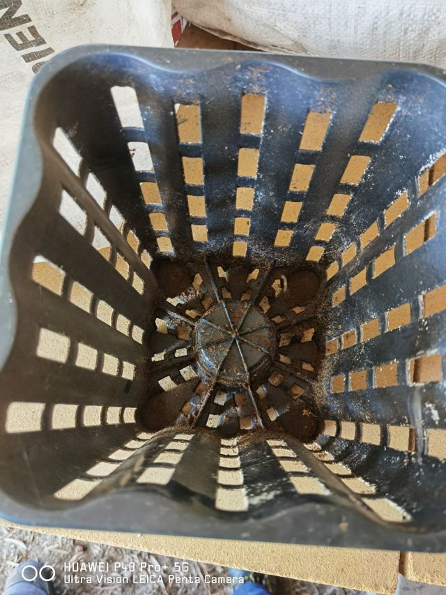 macetas cultivo hidroponico 