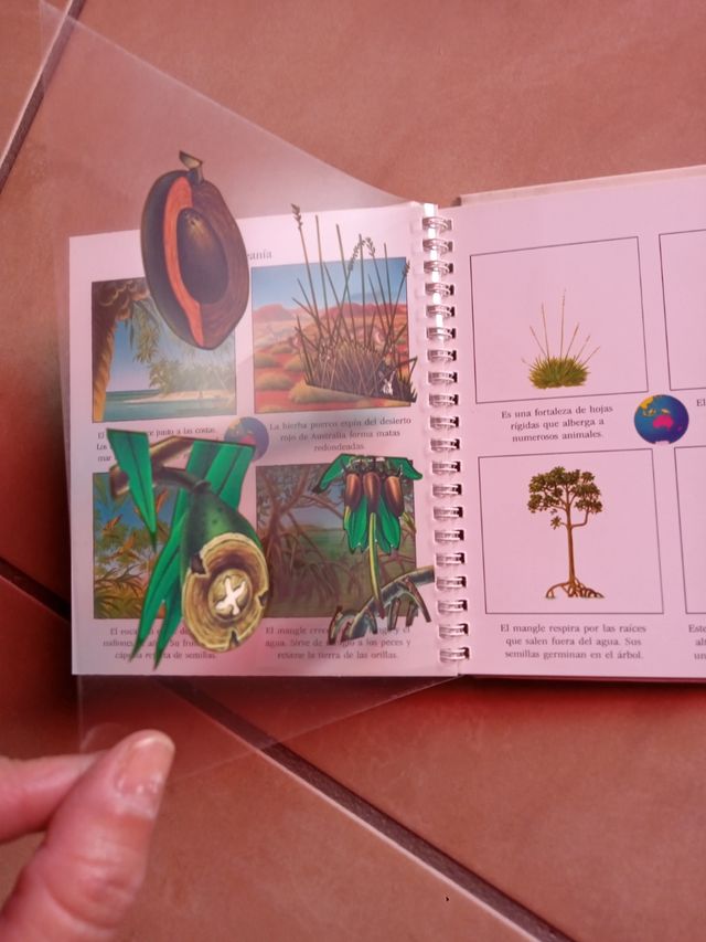 atlas de las plantas