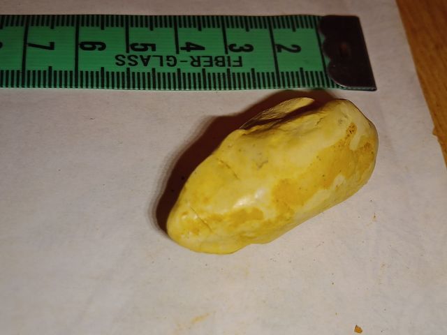 lote colección diferentes fósiles especies y epoca