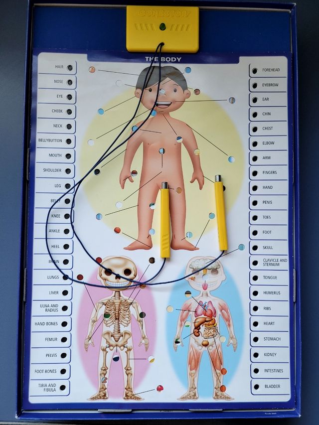 Juego Educativo para aprender Ingles.