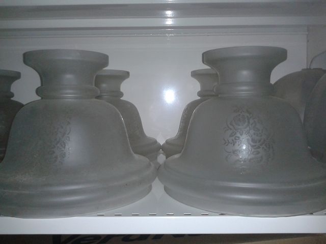 TULIPA NUEVA DE OPALINA