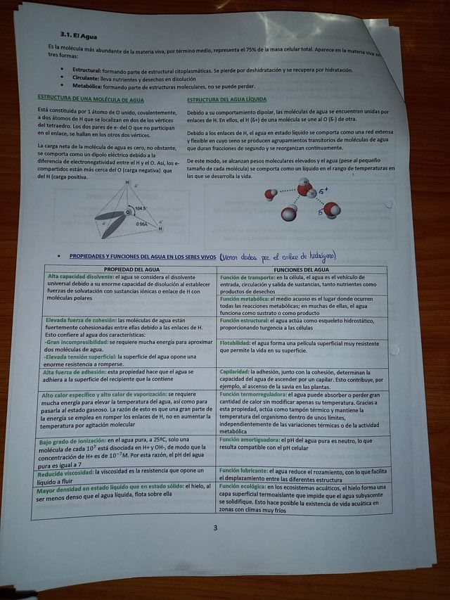 GRATIS Apuntes Biología Selectividad