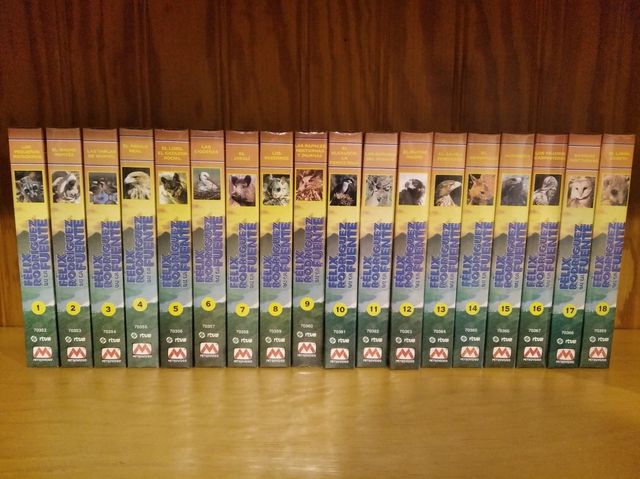 El hombre y la Tierra