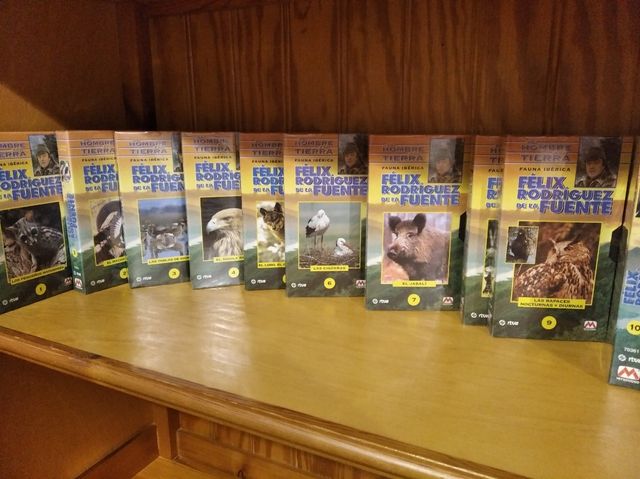 El hombre y la Tierra