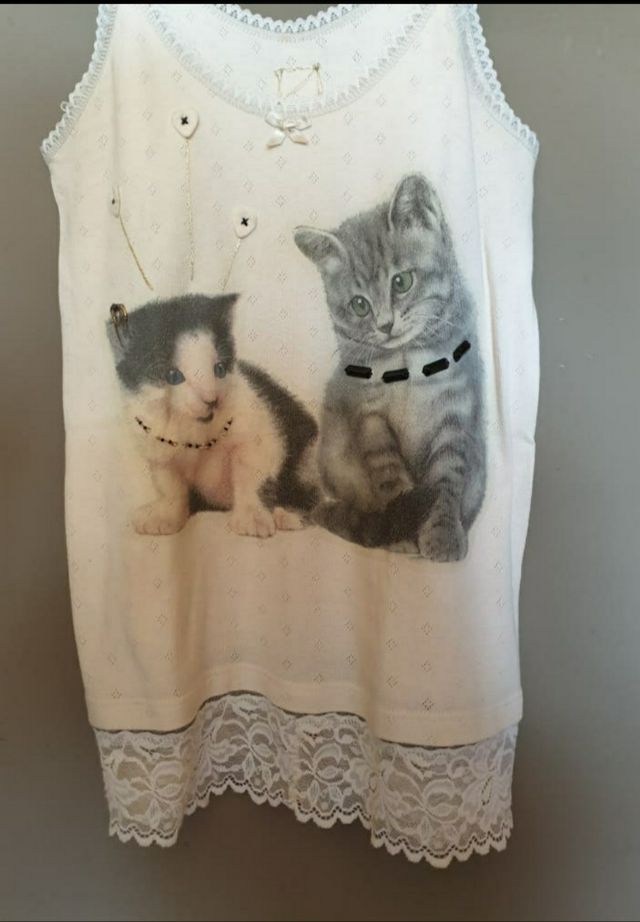 Camiseta gatos