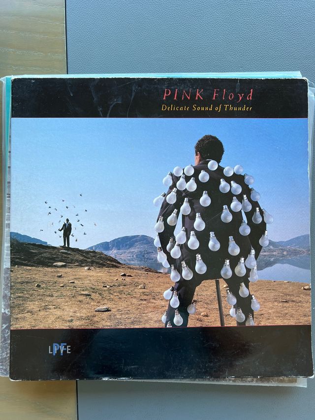 Pink Floyd delicate sound of thunder