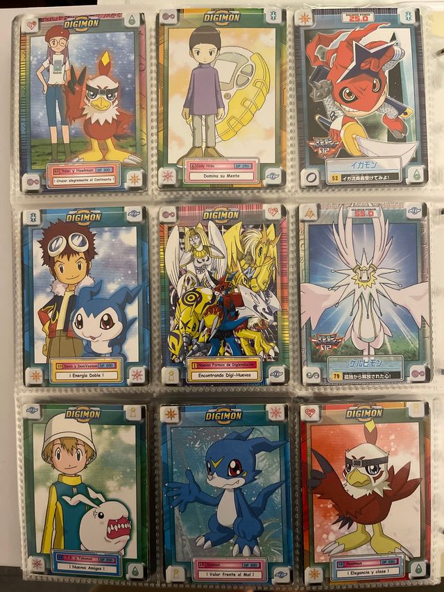 Lote de cartas digimon