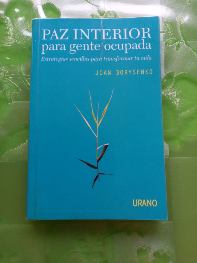 Libro paz interior para gente ocupada