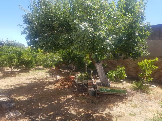 Terreno en venta urbano salida a dos calles