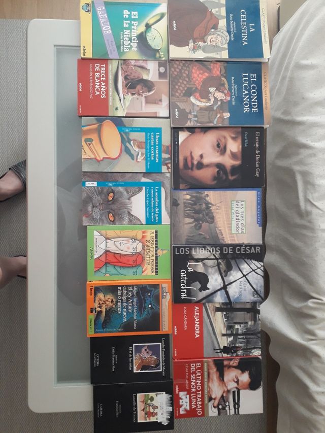 Lote libros, el lazarillo de Tormes, etc