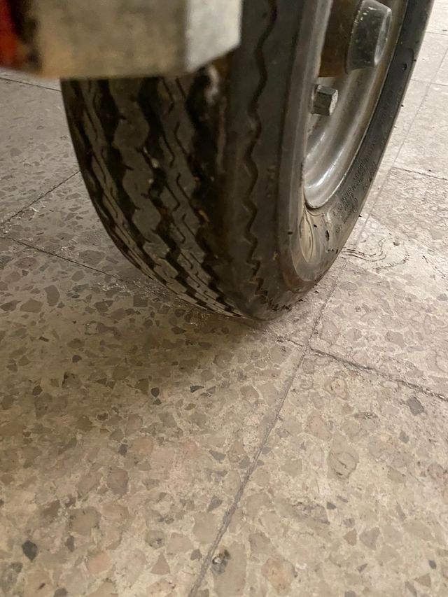 Remolque para perros con papeles