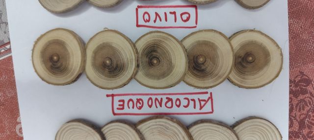rodajas de madera