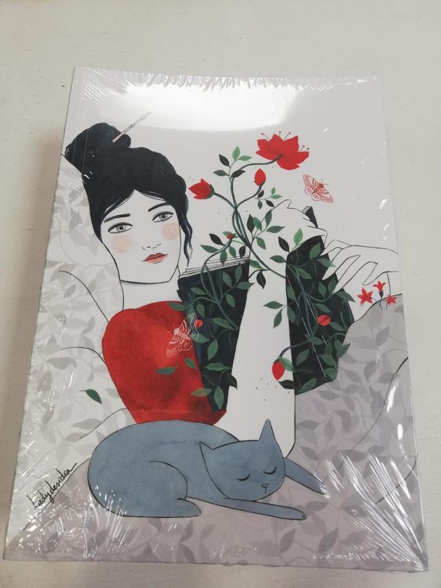 cuaderno ilustrado ladydesidia