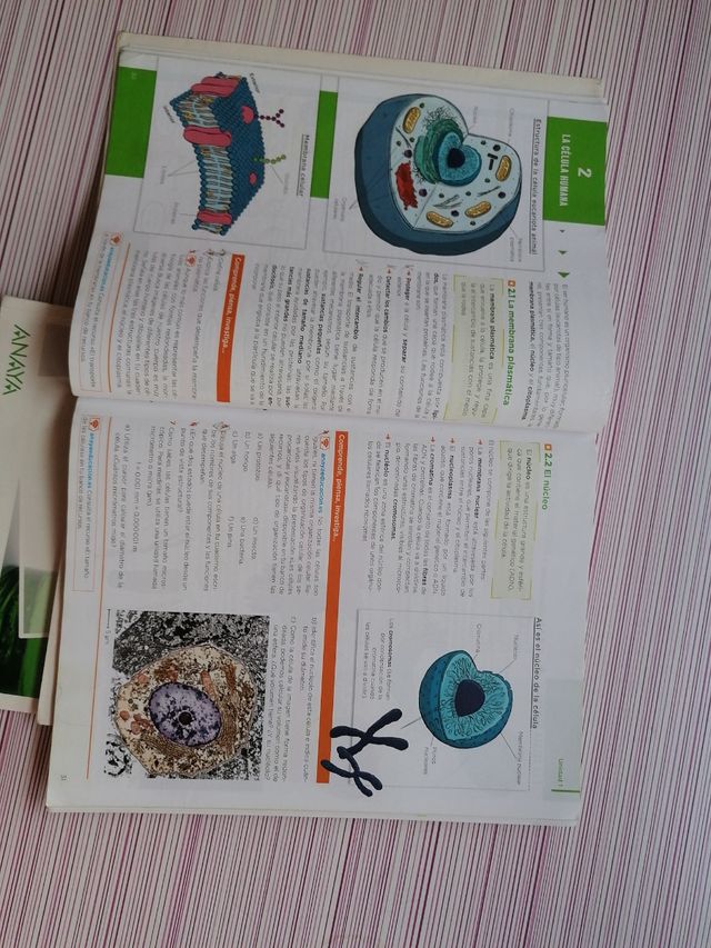 libros biología y geología 3º eso