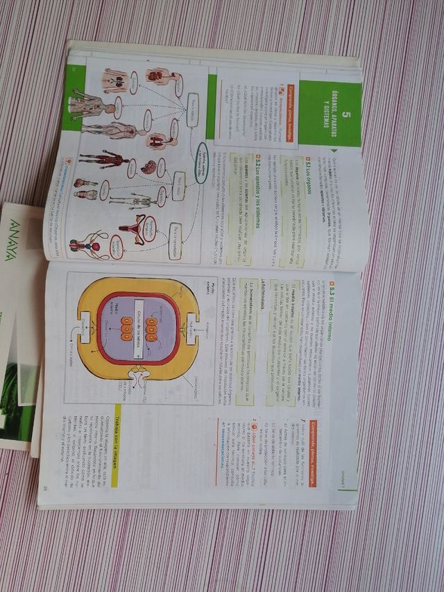 libros biología y geología 3º eso