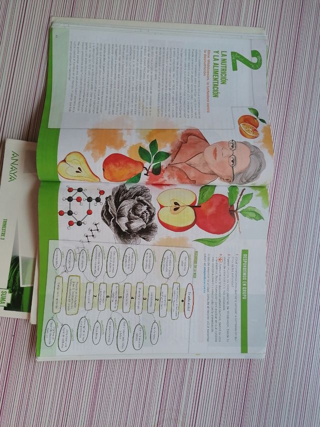libros biología y geología 3º eso