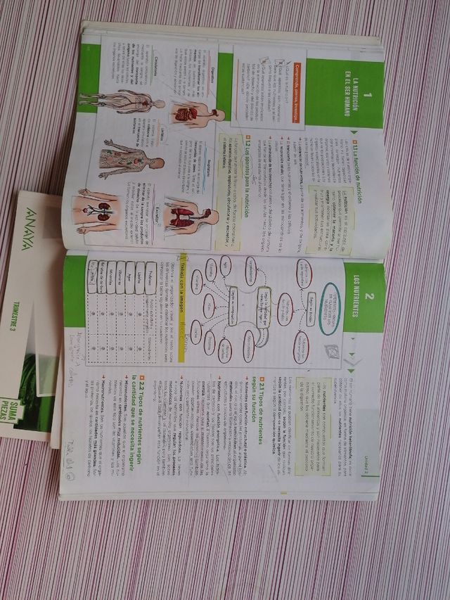 libros biología y geología 3º eso