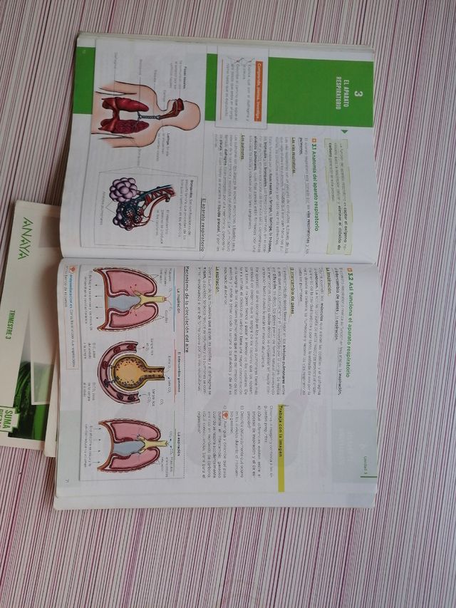 libros biología y geología 3º eso