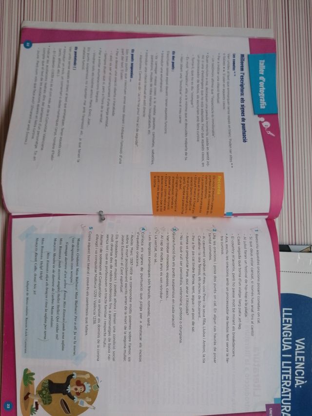 Valencia: llengua i literatura